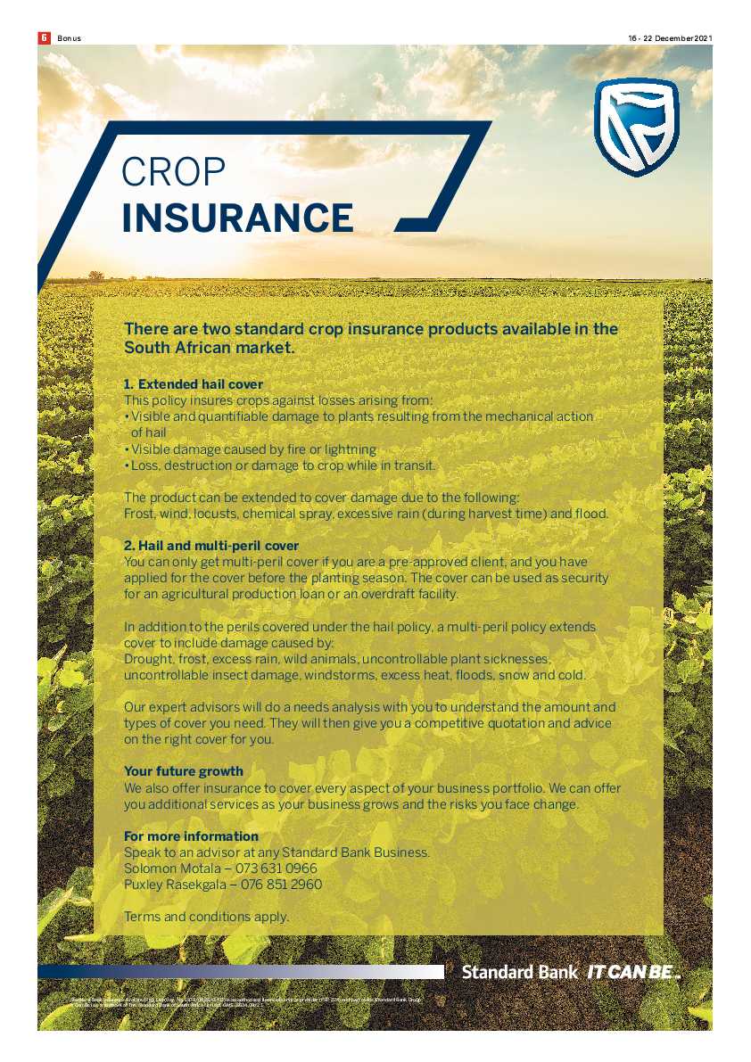 Bonus Review 16 December 2021 page 6