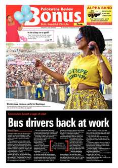 Bonus Review 28 November 2019