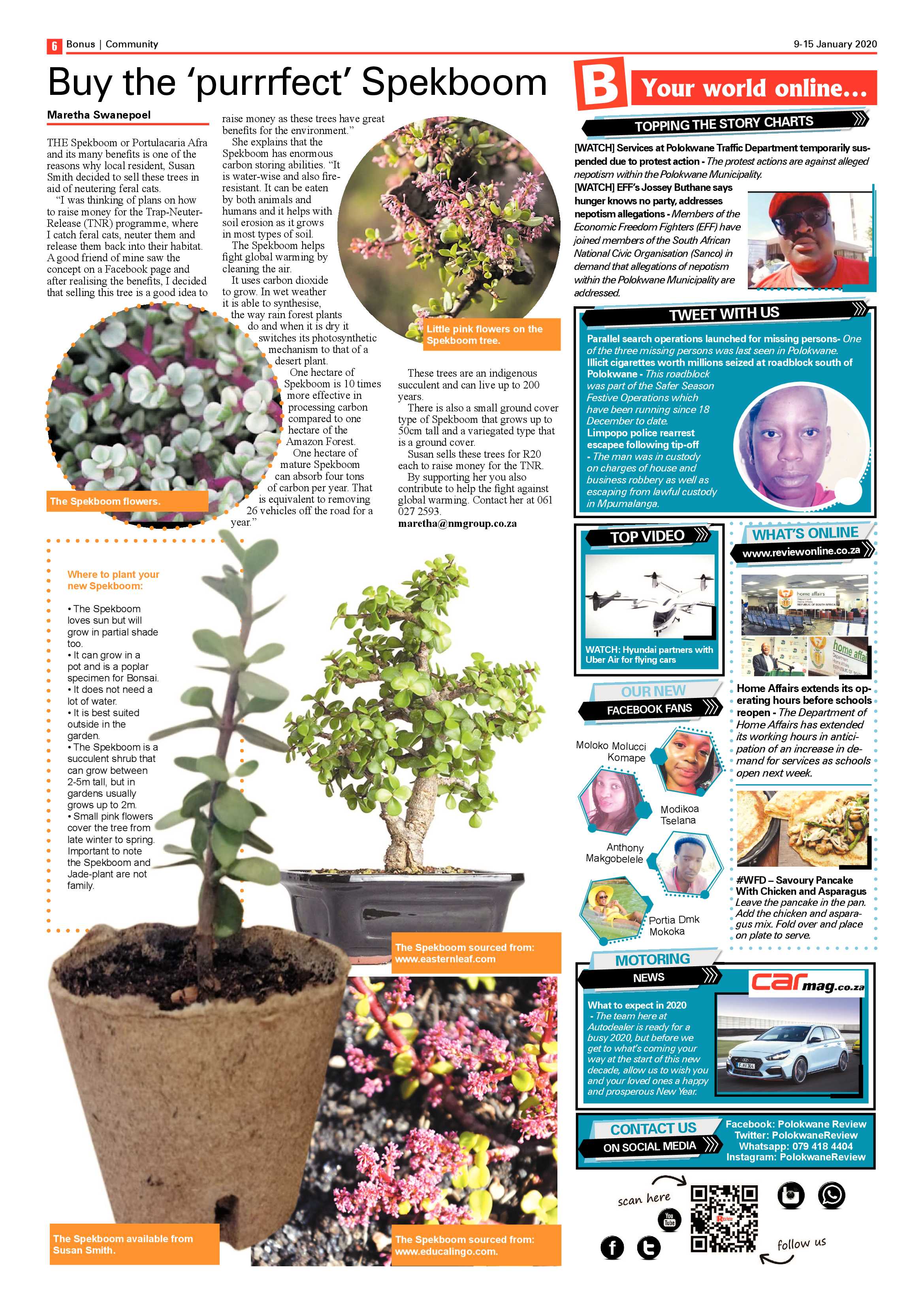 Review Bonus 9 January 2020 page 6